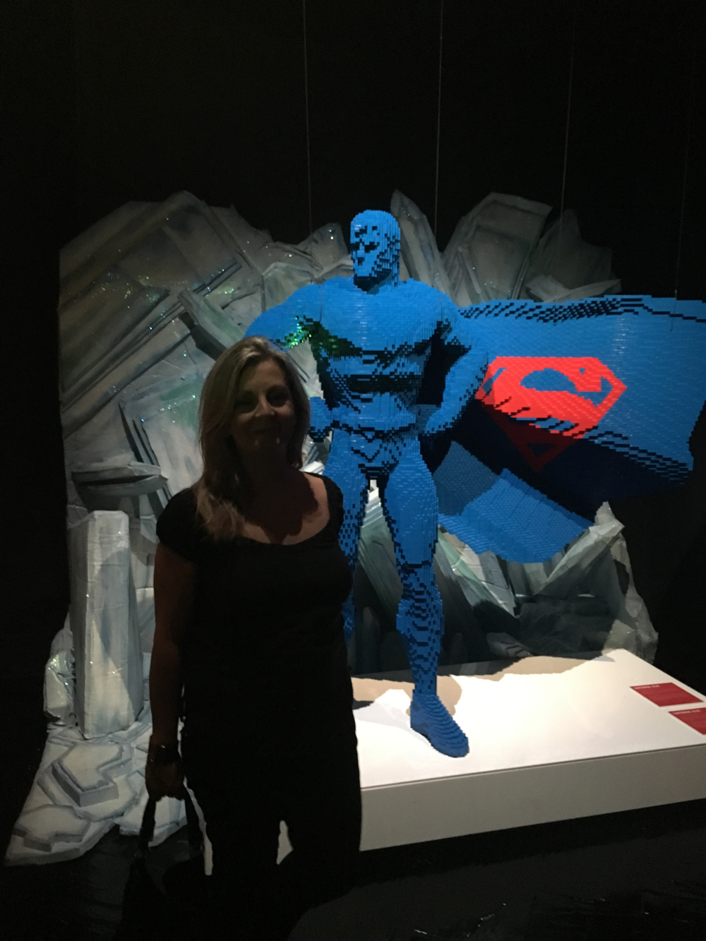 Susana García - The Art of Brick: DC Superheroes - Lego - MAdrid -Nathan Sawaya -Colon